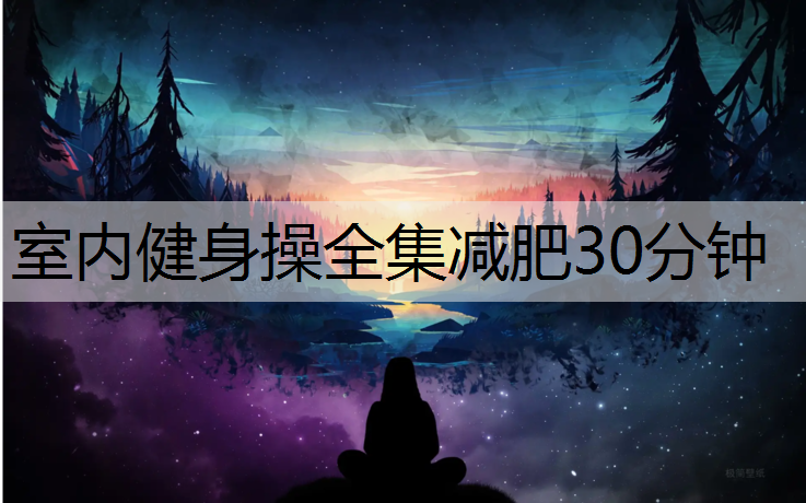 室内健身操全集减肥30分钟